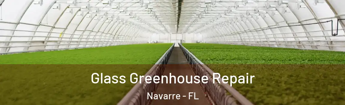  Glass Greenhouse Repair Navarre - FL