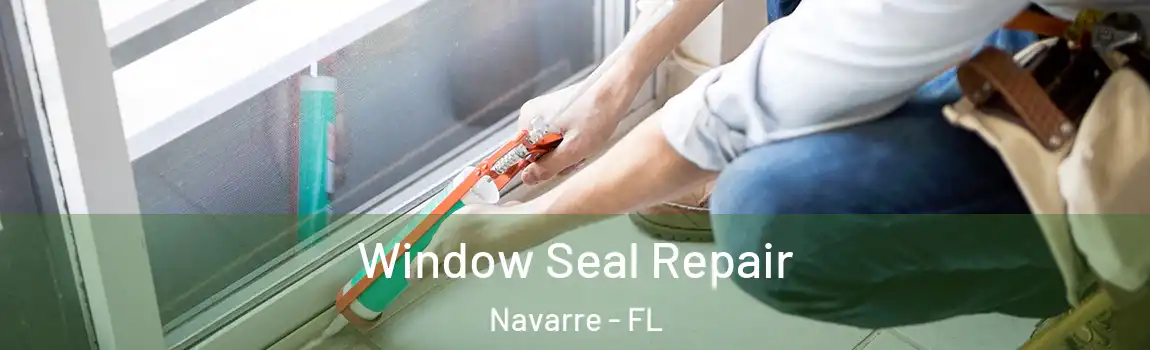  Window Seal Repair Navarre - FL
